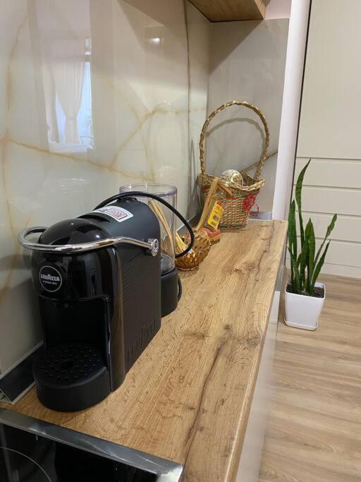 Mimosa'S Apartment With Lovely Balcony 티라나 외부 사진