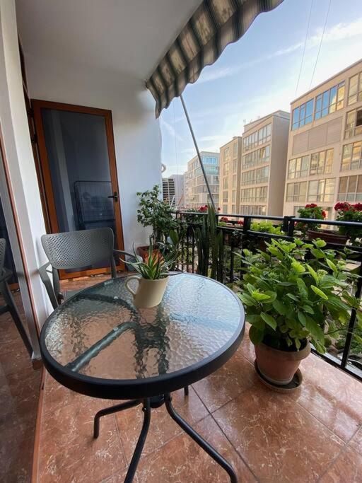Mimosa'S Apartment With Lovely Balcony 티라나 외부 사진