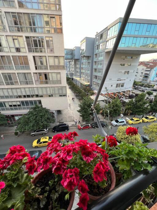 Mimosa'S Apartment With Lovely Balcony 티라나 외부 사진